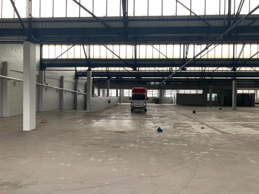 To Let Commercial Property for Rent in Paarden Eiland Western Cape